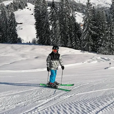 Hotel Alpengruss Penzion