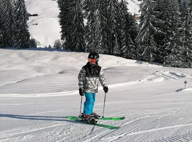 Alpengruss Affittacamere